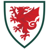 Dresi Wales reprezentance